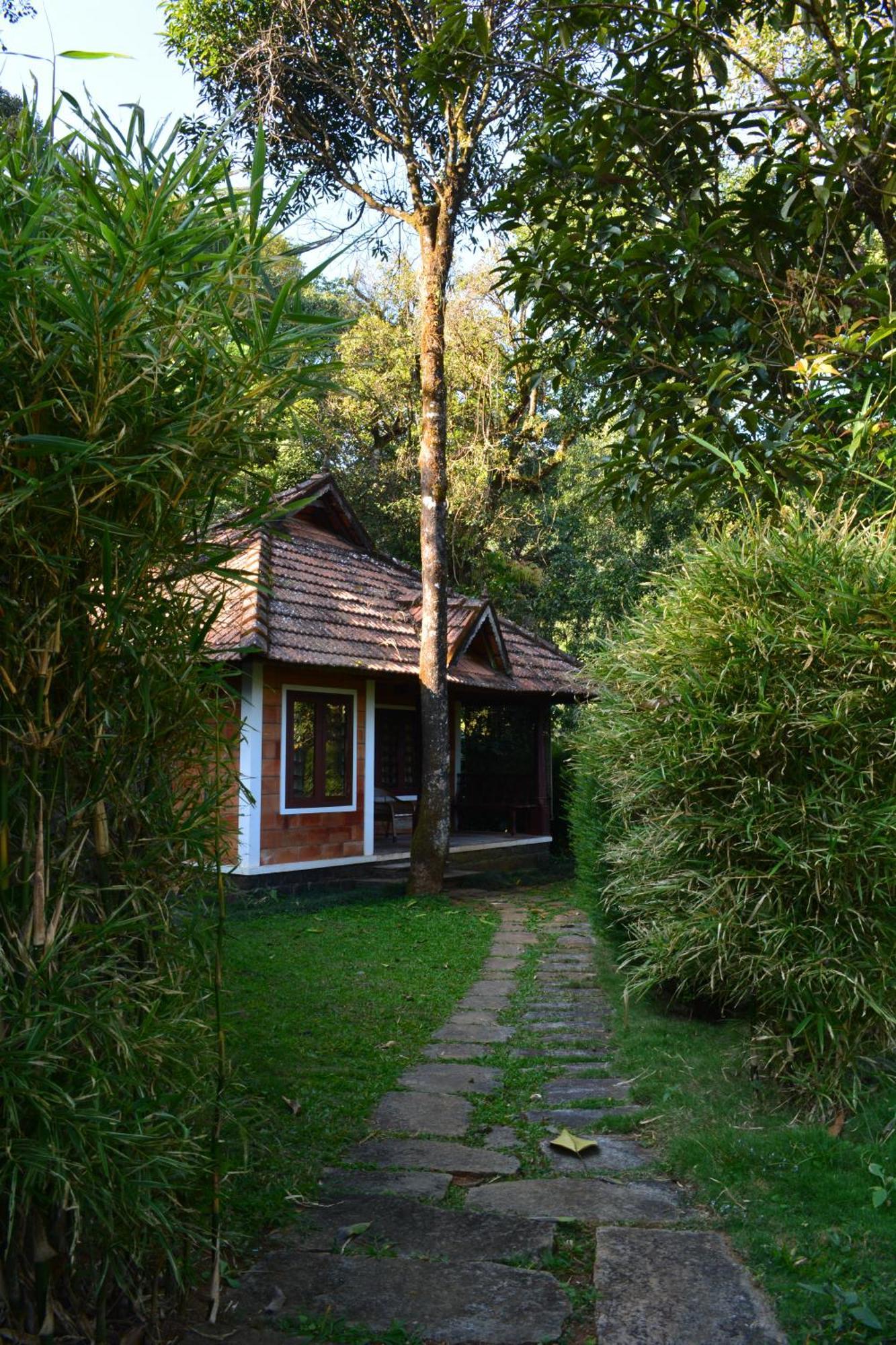 Misty Woods Resort Kakkabe 部屋 写真