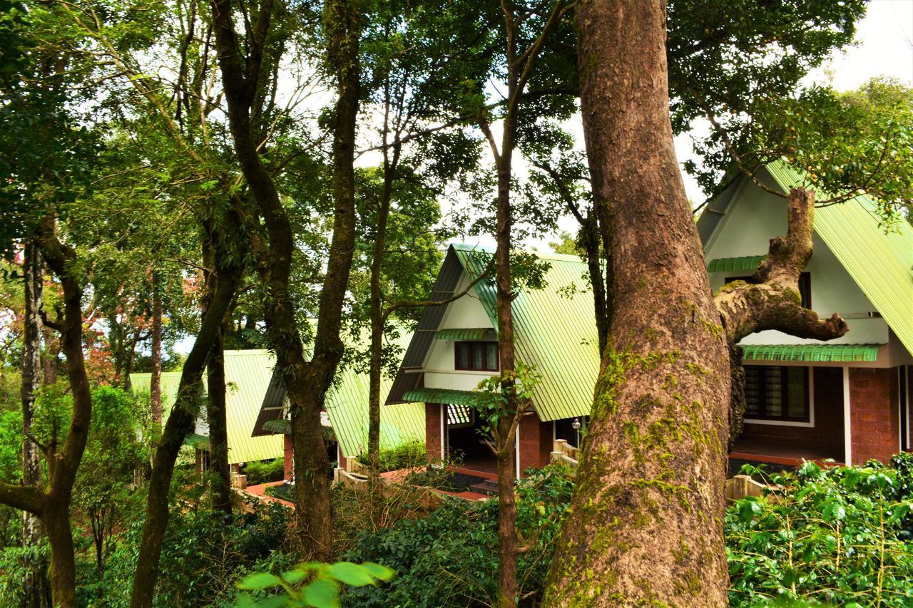 Misty Woods Resort Kakkabe エクステリア 写真